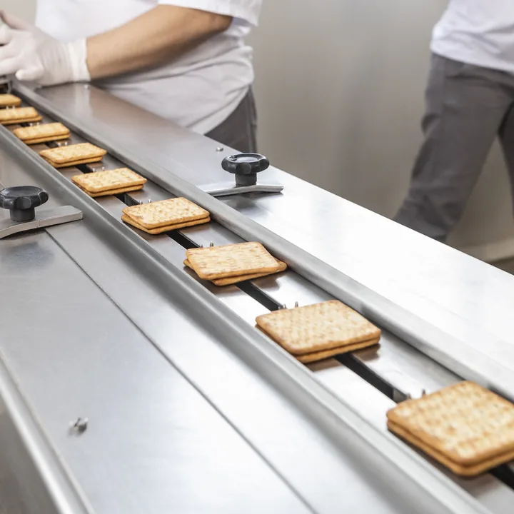 Biscoitos enfileirados na esteira de inox da linha de embalagem